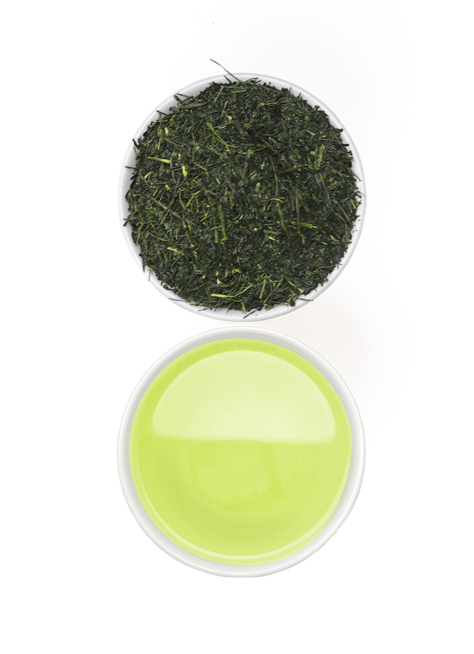 Sencha Fukamushi Asanoka